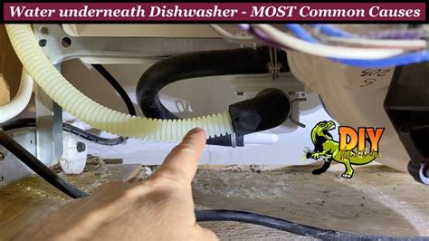 Dishwasher leaking from motor area: Common Causes & Solutions